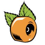 OJ Wheels