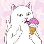 Ripndip