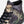 Load image into Gallery viewer, CONVERSE CONS CTAS PRO HI REALTREE APX BLACK
