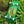 Load image into Gallery viewer, BULLGOD Rocha Pear Premium Fingerboard; 34 mm
