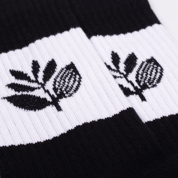 Magenta Stripe Socks Black