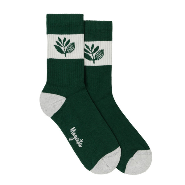 Magenta Stripe Socks Green